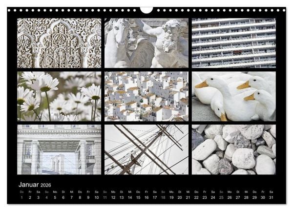 Produktbild: Colours (Wandkalender 2026 DIN A3 quer), CALVENDO Monatskalender