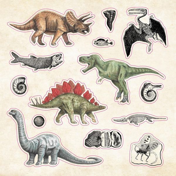Produktbild: The Sticker Book of Curiosities (Over 750 Stickers)