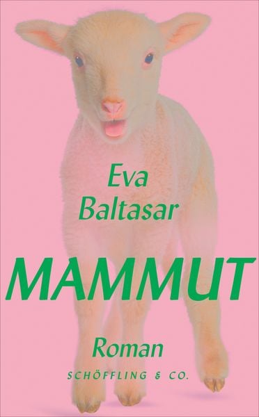 Mammut, Gebundene Ausgabe von Eva Baltasar, Schöffling, 978-3-690-97007-5