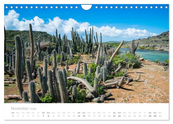 Produktbild: Curacao - Tropical Island (Wall Calendar 2026 DIN A4 landscape), CALVENDO 12 Month Wall Calendar