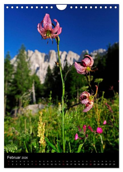 Produktbild: WILDBLUMEN (Wandkalender 2026 DIN A4 hoch), CALVENDO Monatskalender