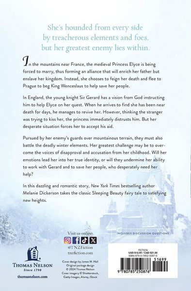 Produktbild: Veil of Winter