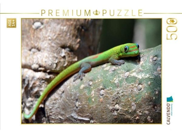 CALVENDO Puzzle Goldstaubgecko, Big Island, Hawaii | 500 Teile Lege-Größe 48 × 36 cm Foto-Puzzle für Erwachsene