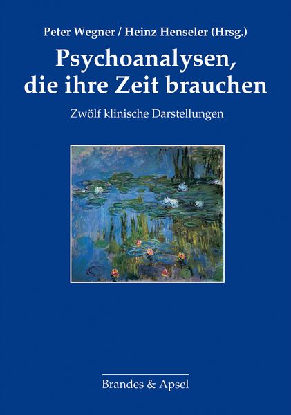 Produktbild: Psychoanalysen, die ihre Zeit brauchen