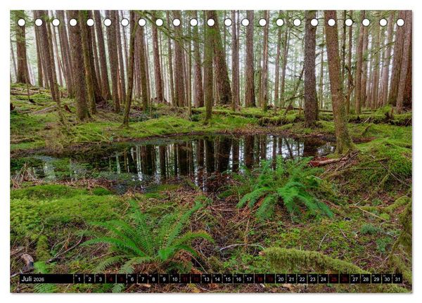 Produktbild: Waldwasser (Tischkalender 2026 DIN A5 quer), CALVENDO Monatskalender