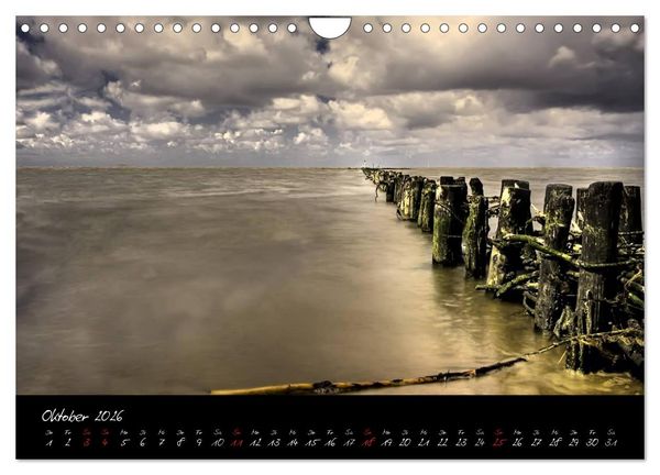Produktbild: Friedrichskoog Buhnen und Salzwiesen (Wandkalender 2026 DIN A4 quer), CALVENDO Monatskalender