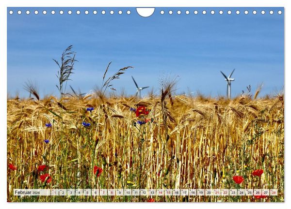 Produktbild: Fischland: zwischen Ostsee und Bodden (Wandkalender 2026 DIN A4 quer), CALVENDO Monatskalender