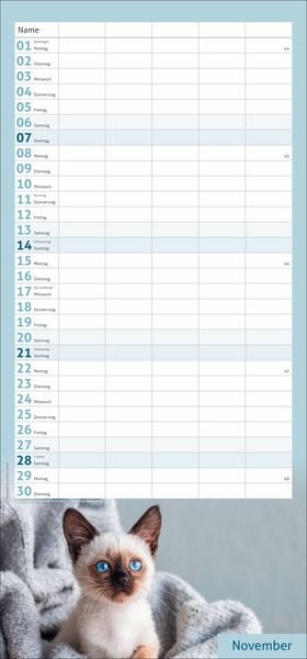 Produktbild: times&more Katzen Familienplaner 2027