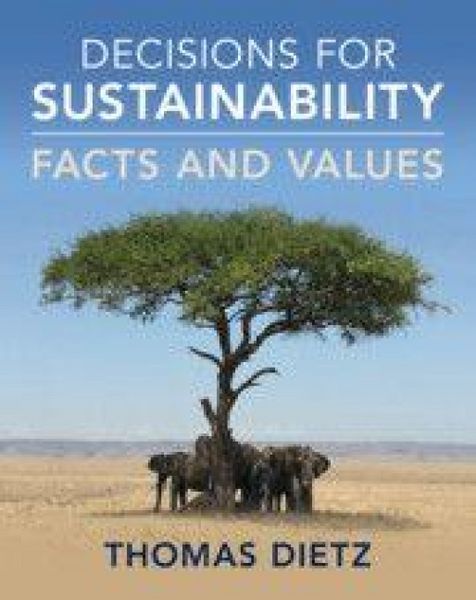 Produktbild: Decisions for Sustainability