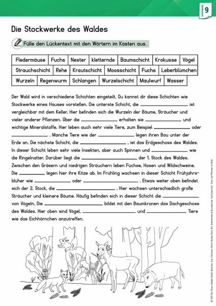 Produktbild: Arbeitsmaterial Grundschule. Sachunterricht. Tiere und Pflanzen im Wald
