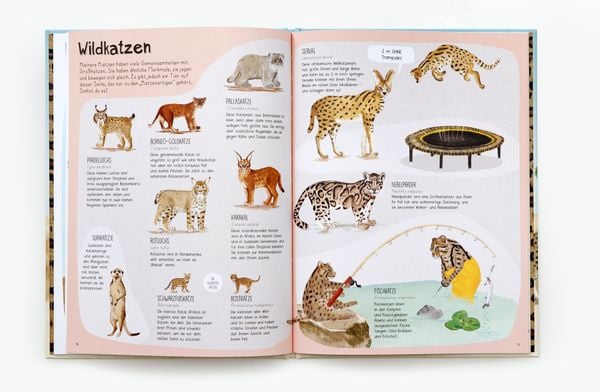 Produktbild: Das Katzen-Buch