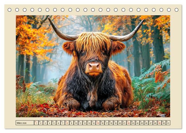 Produktbild: Schottische Hochlandrinder. Zwischen Nebel, Natur und rauer Pracht (Tischkalender 2026 DIN A5 quer), CALVENDO Monatskalender
