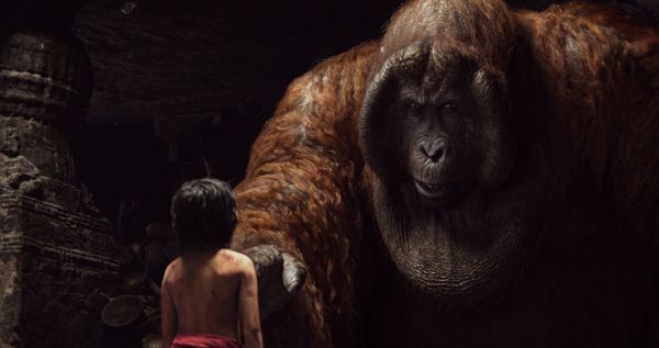Produktbild: The Jungle Book (4K Ultra HD) (+ Blu-ray 2D)