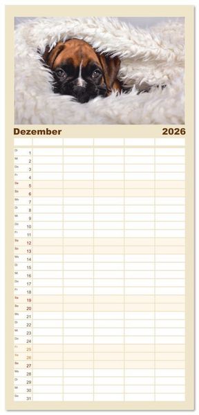 Produktbild: Familienplaner 2026 - Boxer Welpen einfach zuckers&uuml;&szlig; mit 5 Spalten (Wandkalender, 21 x 45 cm) CALVENDO