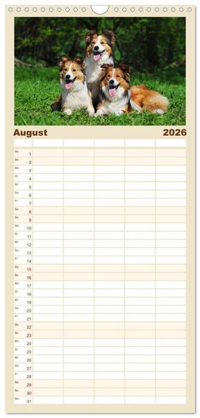 Produktbild: Familienplaner 2026 - Border Collie 2026 mit 5 Spalten (Wandkalender, 21 x 45 cm) CALVENDO