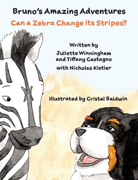 Produktbild: Can a Zebra Change its Stripes?