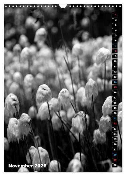 Produktbild: Blumige Graustufen - Schwarz und Wei&szlig; (Wandkalender 2026 DIN A3 hoch), CALVENDO Monatskalender