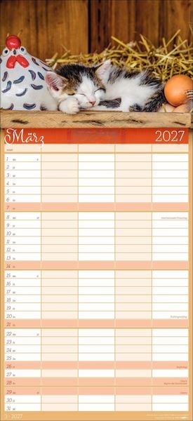 Produktbild: Cool Cats Familienplaner 2027