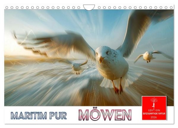 Produktbild: Maritim pur - M&ouml;wen (Wandkalender 2026 DIN A4 quer), CALVENDO Monatskalender
