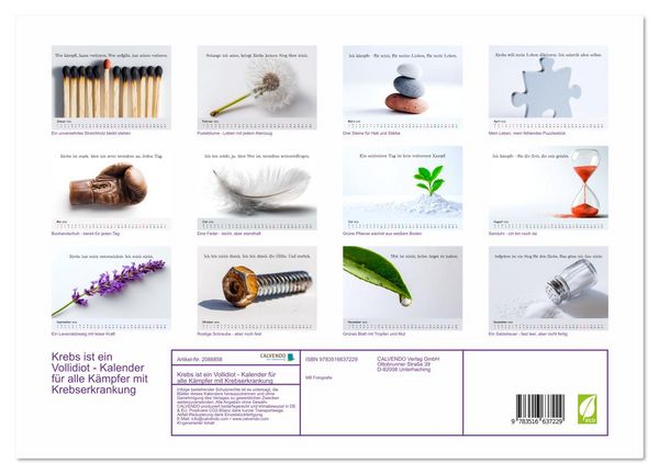 Produktbild: Krebs ist ein Vollidiot - Kalender f&uuml;r alle K&auml;mpfer mit Krebserkrankung (Wandkalender 2026 DIN A3 quer), CALVENDO Monatskalender