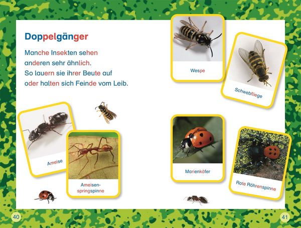 Produktbild: SUPERLESER! Insekten, top getarnt