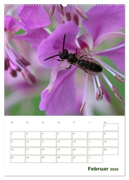 Produktbild: Bienen-Terminplaner 2026 (Wandkalender 2026 DIN A2 hoch), CALVENDO Monatskalender