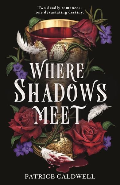 Produktbild: Where Shadows Meet