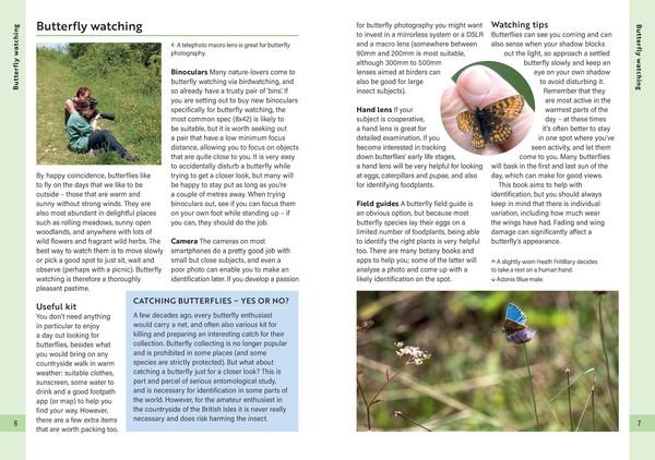 Produktbild: RSPB Butterflies of the British Isles