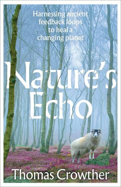 Produktbild: Nature's Echo