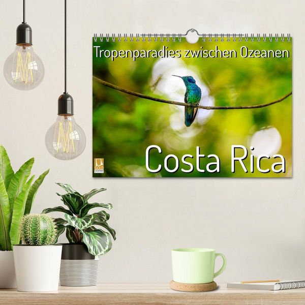 Produktbild: Tropenparadies zwischen Ozeanen Costa Rica (Wandkalender 2026 DIN A4 quer), CALVENDO Monatskalender