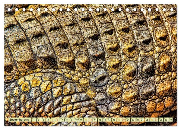 Produktbild: Urzeitreptilien - Krokodil (Tischkalender 2026 DIN A5 quer), CALVENDO Monatskalender