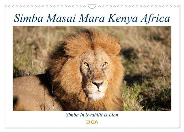 Produktbild: Simba Masai Mara Kenya Africa (Wall Calendar 2026 DIN A3 landscape), CALVENDO 12 Month Wall Calendar