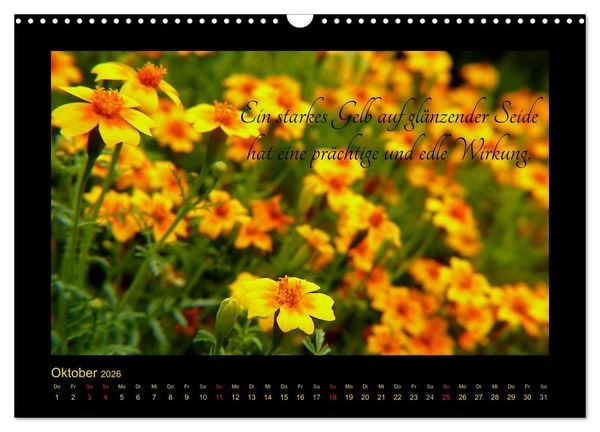 Produktbild: Goethes Gelb Gedanken zur Farbe (Wandkalender 2026 DIN A3 quer), CALVENDO Monatskalender