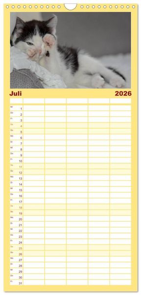 Produktbild: Familienplaner 2026 - Die Launen der Katzen 2026 mit 5 Spalten (Wandkalender, 21 x 45 cm) CALVENDO