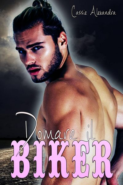 Produktbild: Domare il Biker