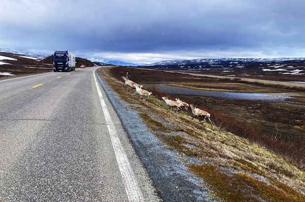 Produktbild: Abenteuer Norwegen