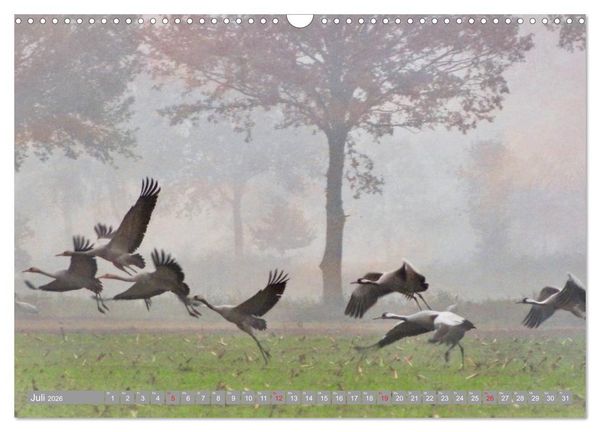 Produktbild: KranichRomantik (Wandkalender 2026 DIN A3 quer), CALVENDO Monatskalender