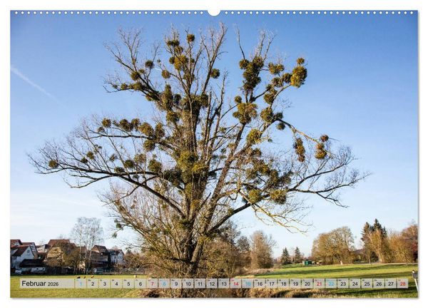 Produktbild: Ins Land der Franken fahren (hochwertiger Premium Wandkalender 2026 DIN A2 quer), Kunstdruck in Hochglanz