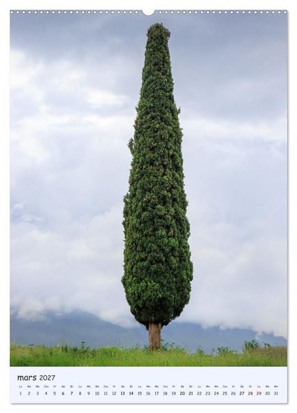Produktbild: Arbres solitaires (Calendrier mural 2027 DIN A2 horizontal), CALVENDO calendrier mensuel