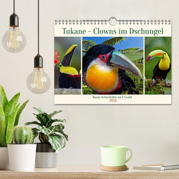 Produktbild: Tukane - Clowns im Dschungel (Wandkalender 2026 DIN A4 quer), CALVENDO Monatskalender