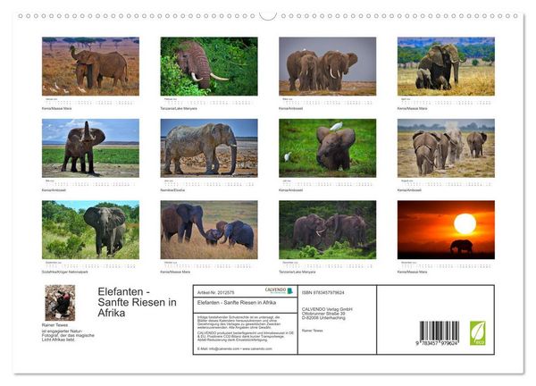 Produktbild: Elefanten - Sanfte Riesen in Afrika (hochwertiger Premium Wandkalender 2026 DIN A2 quer), Kunstdruck in Hochglanz