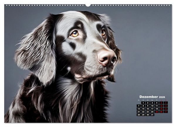 Produktbild: Only Black (Wandkalender 2026 DIN A2 quer), CALVENDO Monatskalender