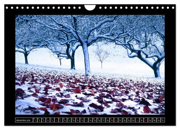 Produktbild: Photographies de Montagne (Calendrier mural 2026 DIN A4 vertical), CALVENDO calendrier mensuel