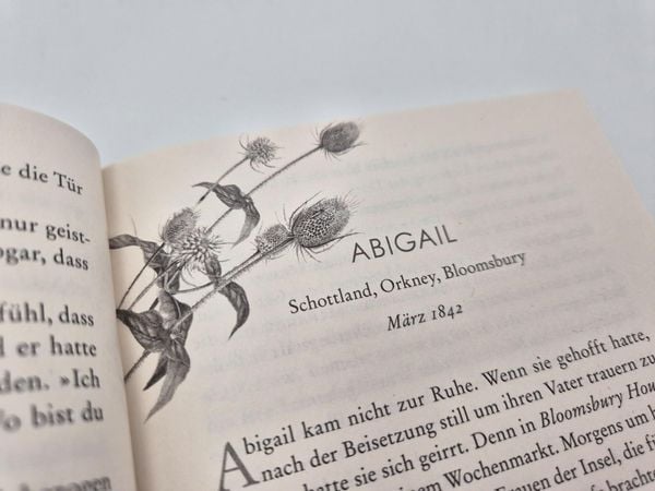 Produktbild: Die Gezeitentochter