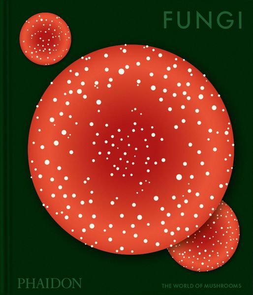 Produktbild: Fungi
