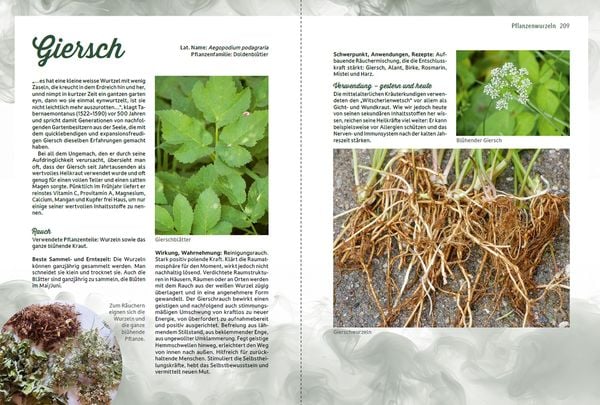 Produktbild: R&auml;uchern im Einklang mit der Natur