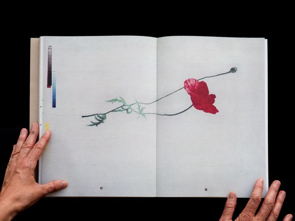 Produktbild: BLUMENLESE