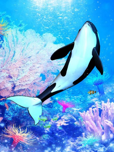 Produktbild: CALVENDO Puzzle Orka 3 | 1000 Teile Lege-Gr&ouml;&szlig;e 64x48cm Foto-Puzzle f&uuml;r gl&uuml;ckliche Stunden