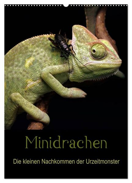 Produktbild: Minidrachen - Die kleinen Nachkommen der Urzeitmonster (Wandkalender 2026 DIN A2 hoch), CALVENDO Monatskalender