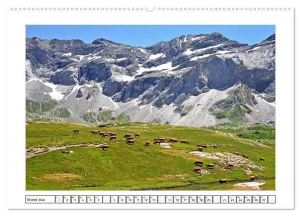 Produktbild: Pyr&eacute;n&eacute;ennes (Calendrier mural 2026 DIN A2 vertical) calendrier de bureau